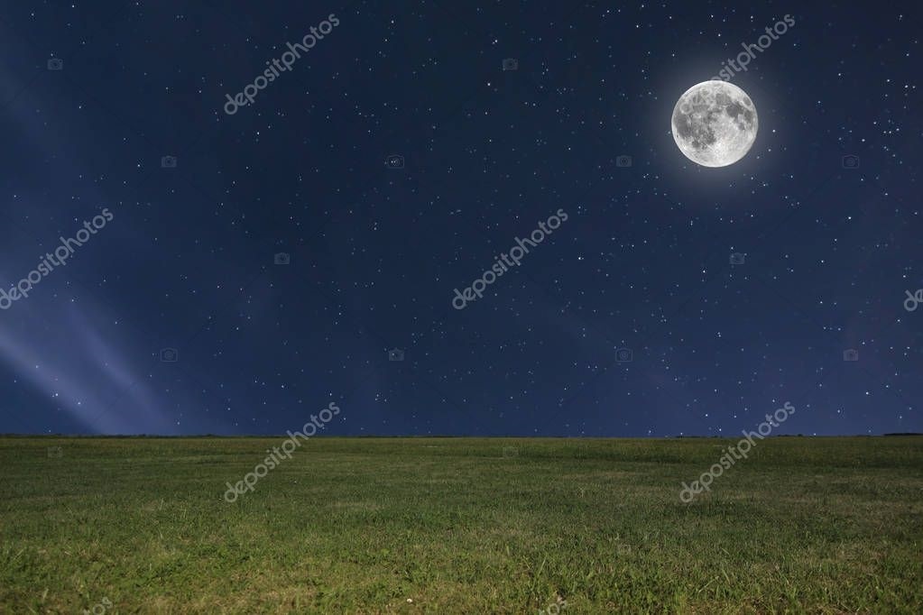 Ночной луг картинки   красивые фото024