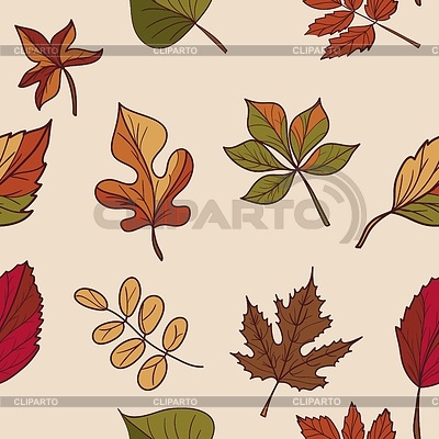 Осенние листья с названиями картинки   скачать008