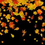 Осенние листья с названиями картинки — скачать