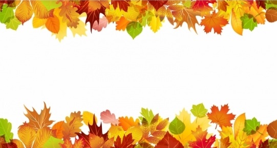 Осенние листья фото скачать   красивые картинки020