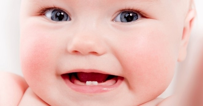 Первые зубы картинки для детей   фото020