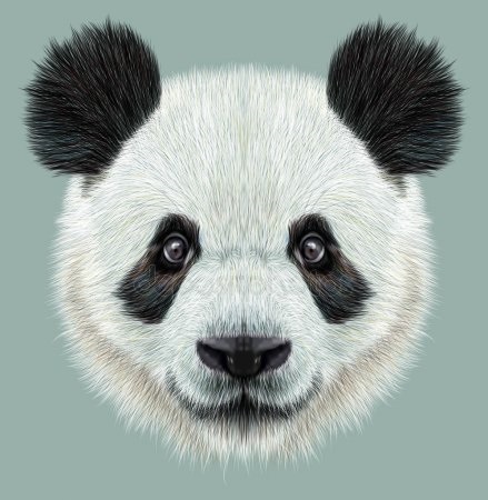 Скачать бесплатно картинки панды   красивые фото007