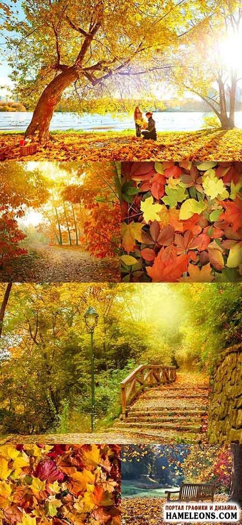 Фото осень в парке природа   красивые картинки017