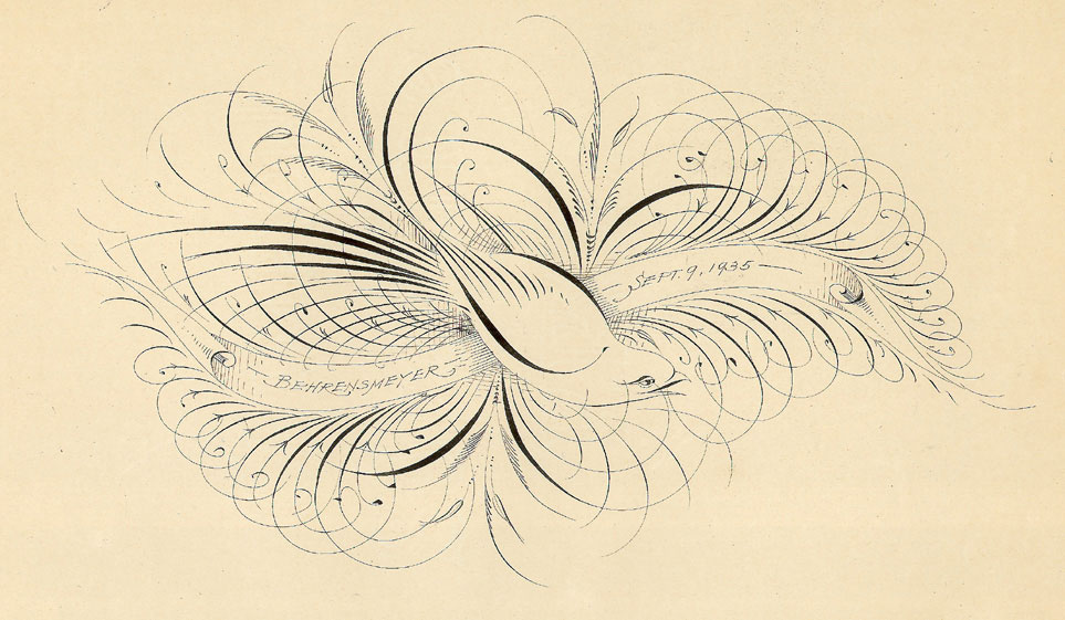 Перо каллиграфия рисунок