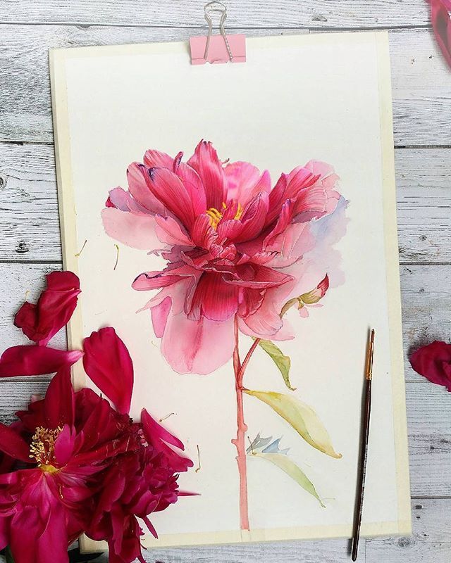 Картины акварелью цветы   милые рисунки (20)