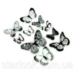 Фото бабочки черно белые012