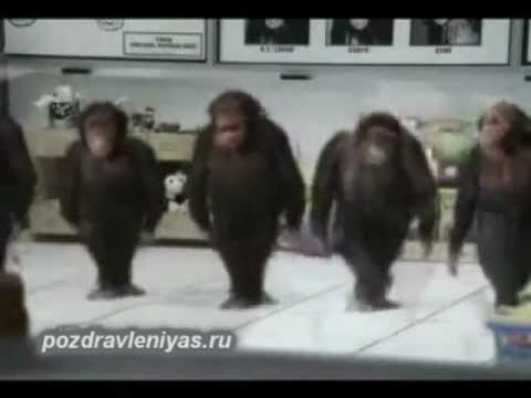 обезьяны с днем рождения картинки025