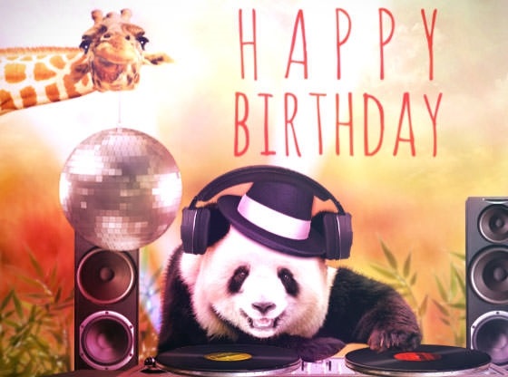 панда с днем рождения картинка016