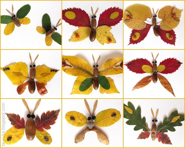 поделки бабочки из природного материала014