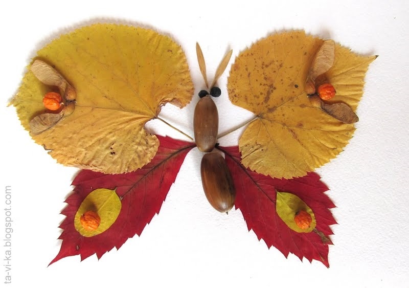 поделки бабочки из природного материала026
