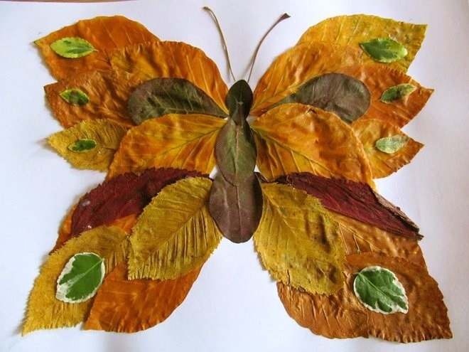 поделки бабочки из природного материала029