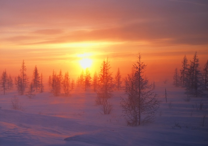 Зимнее небо в тундре