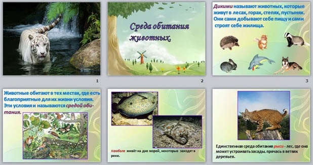 Животные и среда их обитания 2 класс занков презентация