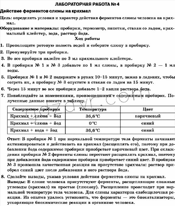 Образец лабораторной работы