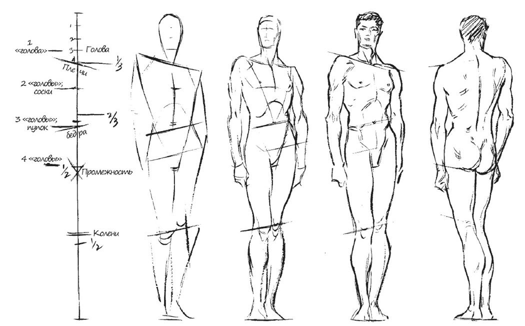Как нарисовать фигуру парня