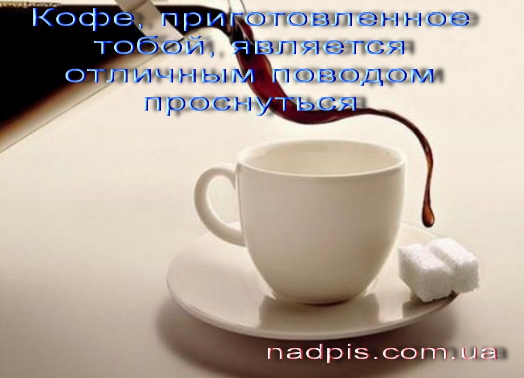 Утро некого. Чашечку мечты никто не отменял с добрым утром. Мечты никто не отменял с добрым утром. Чашечка мечты. Чашечку мечты никто не отменял с добрым утром картинки.
