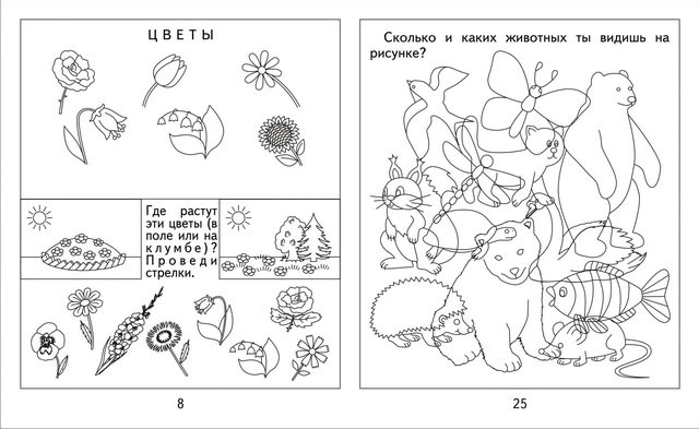 Экологические задания для дошкольников в картинках