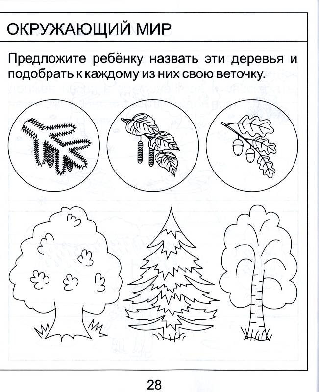 Картинки по окружающему миру для детей