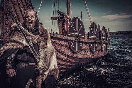 Картинки викингов воинов 019
