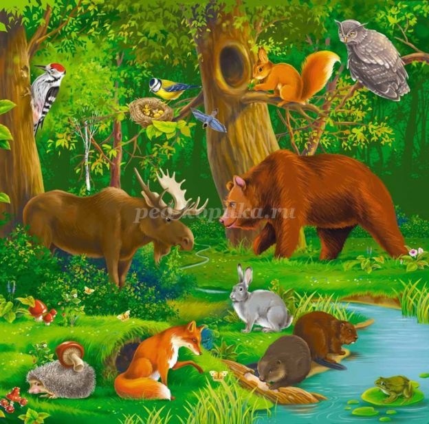 Картинки для детей лес с животными 017