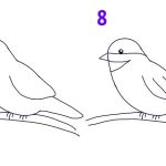 Картинки птиц карандашом 018