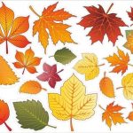 Красивые осень листья рисунок для детей 019