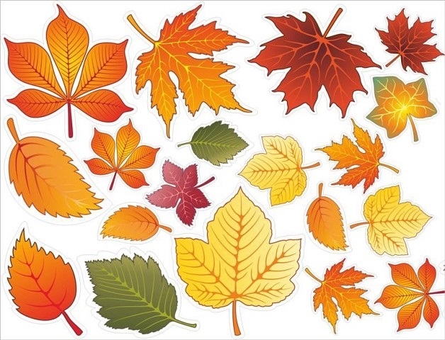 Красивые осень листья рисунок для детей 019