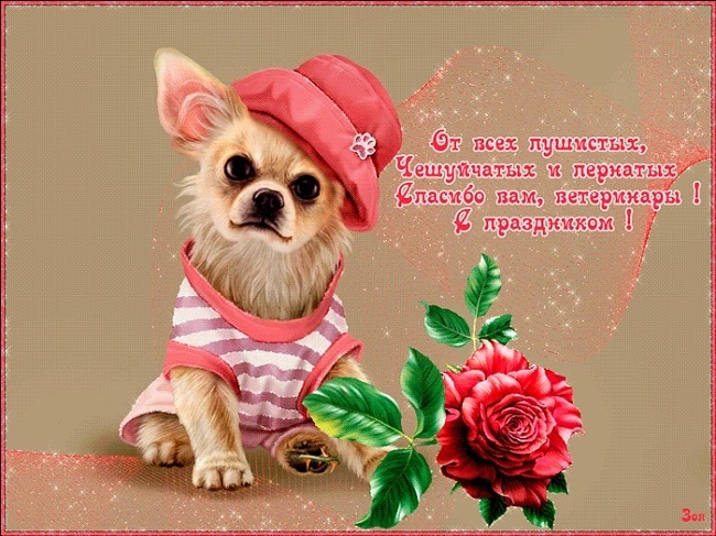 Открытки на День работников ветеринарной медицины Украины 003
