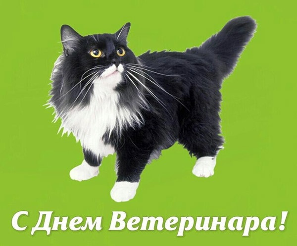 Открытки на День работников ветеринарной медицины Украины 009