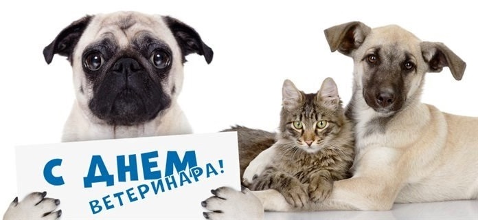 Открытки на День работников ветеринарной медицины Украины 011