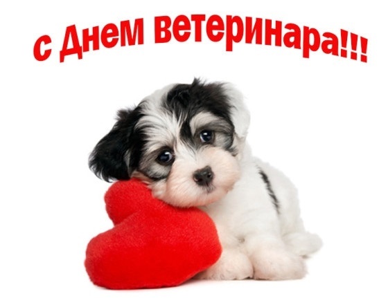Открытки на День работников ветеринарной медицины Украины 015