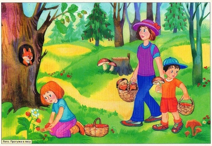 Картинки лето в лесу для детей