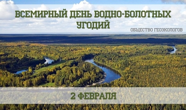 Водно болотные угодья презентация