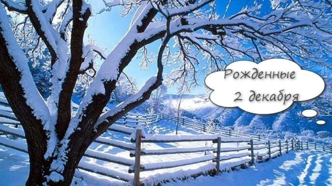 2 декабря День зимы 010