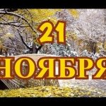 21 ноября Всемирный день приветствий 009