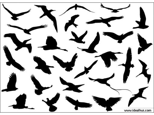 Как нарисовать косяк улетающих птиц003