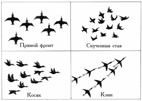 Как нарисовать косяк улетающих птиц013