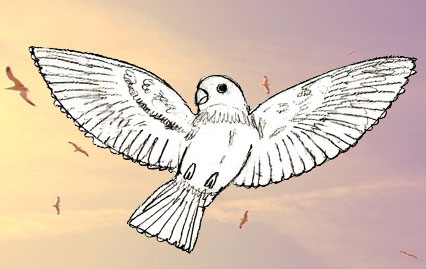 Как нарисовать косяк улетающих птиц022