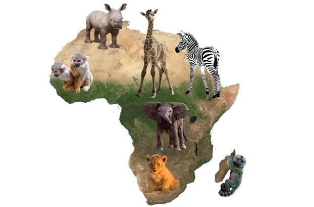 Какие животные обитают на материке африка 001