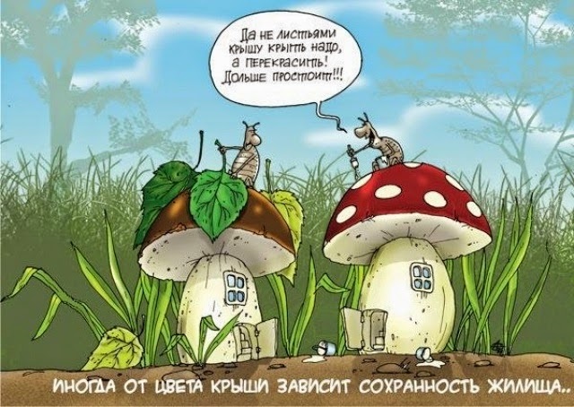 Прикольные картинки с грибами в лесу 018