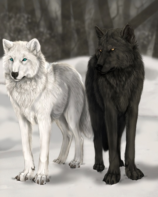 Картинки белых волков с голубыми глазами