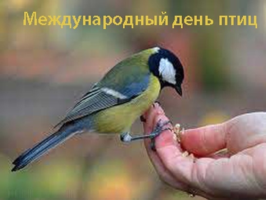 Фото и картинки на 1 апреля Международный день птиц 022
