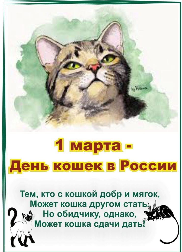 Фото и картинки на 1 марта Всемирный день кошек 013