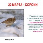 Фото и картинки на 22 марта Сороки (Жаворонки) 021