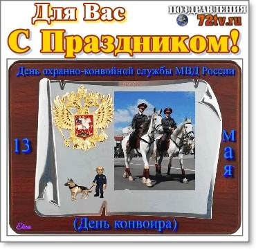 День конвоира (РФ) 011