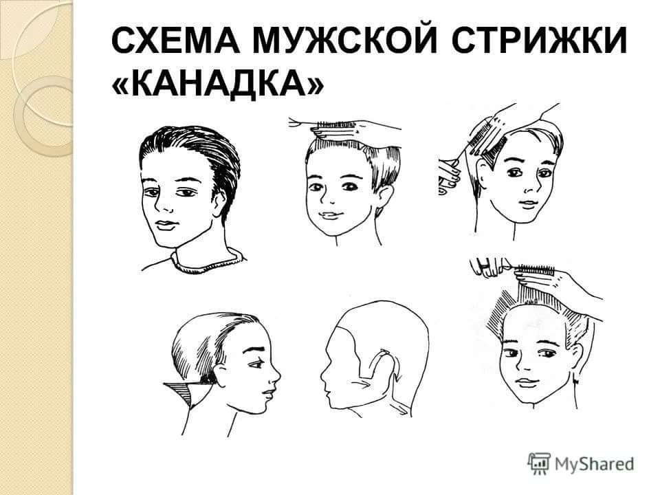 Схемы мужских стрижек для парикмахеров с описанием начинающих