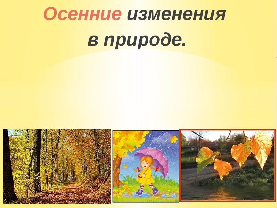 Изменения природы осенью 5 класс. Осенние изменения. Изменения в живой природе осенью. Осень сезонные изменения. Сезонныеиминия в природе осень.