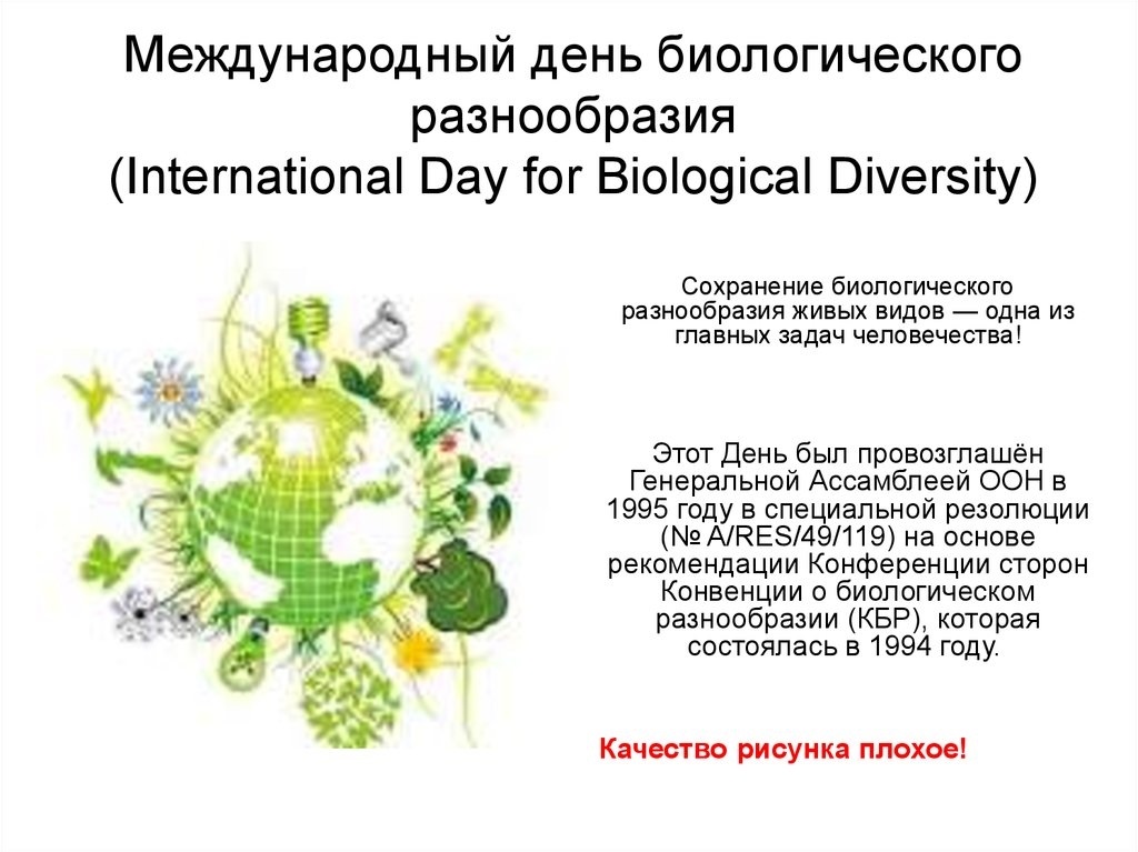 Международный день биологического разнообразия картинки