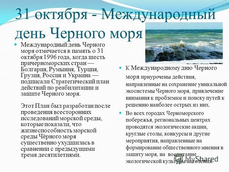 Краткое содержание черное море