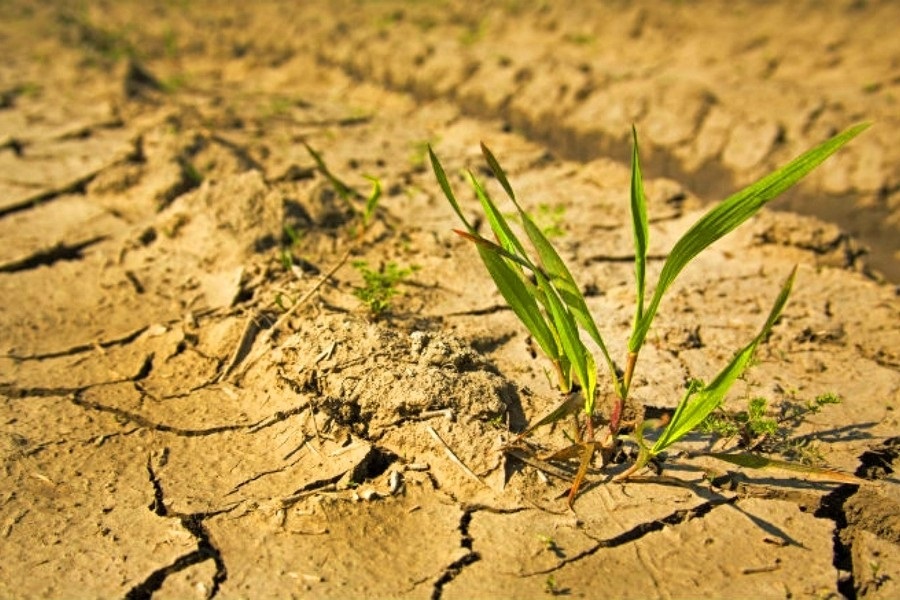 17 июня Всемирный день борьбы с опустыниванием и засухой 016